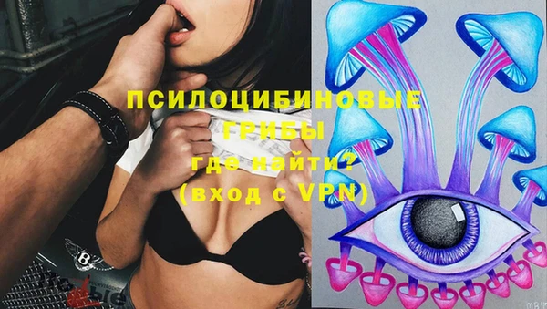 прущий лед Алзамай
