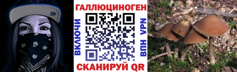 Галлюциногенные грибы Psilocybe  цена наркотик  Тейково 